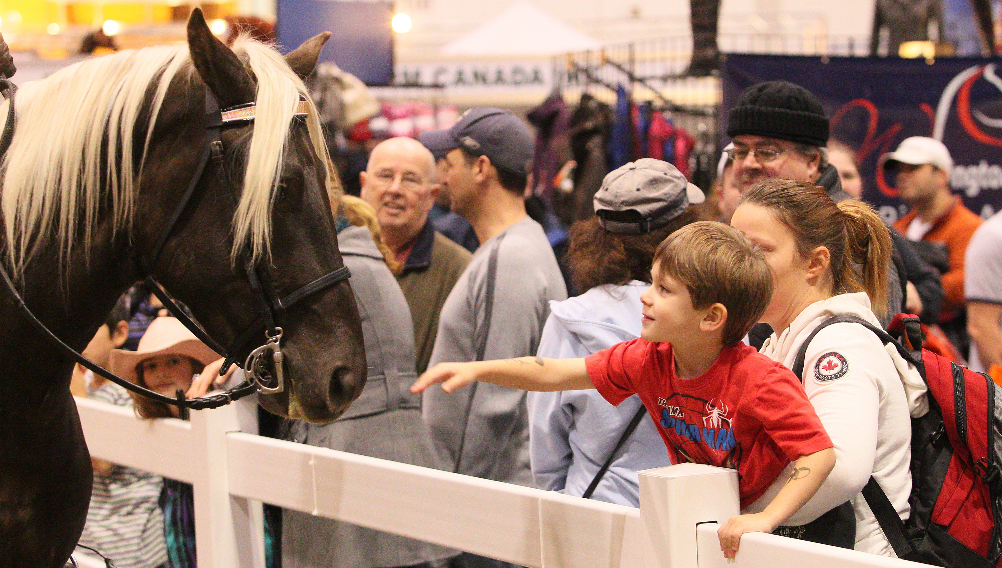 05_Misc Boy with horse