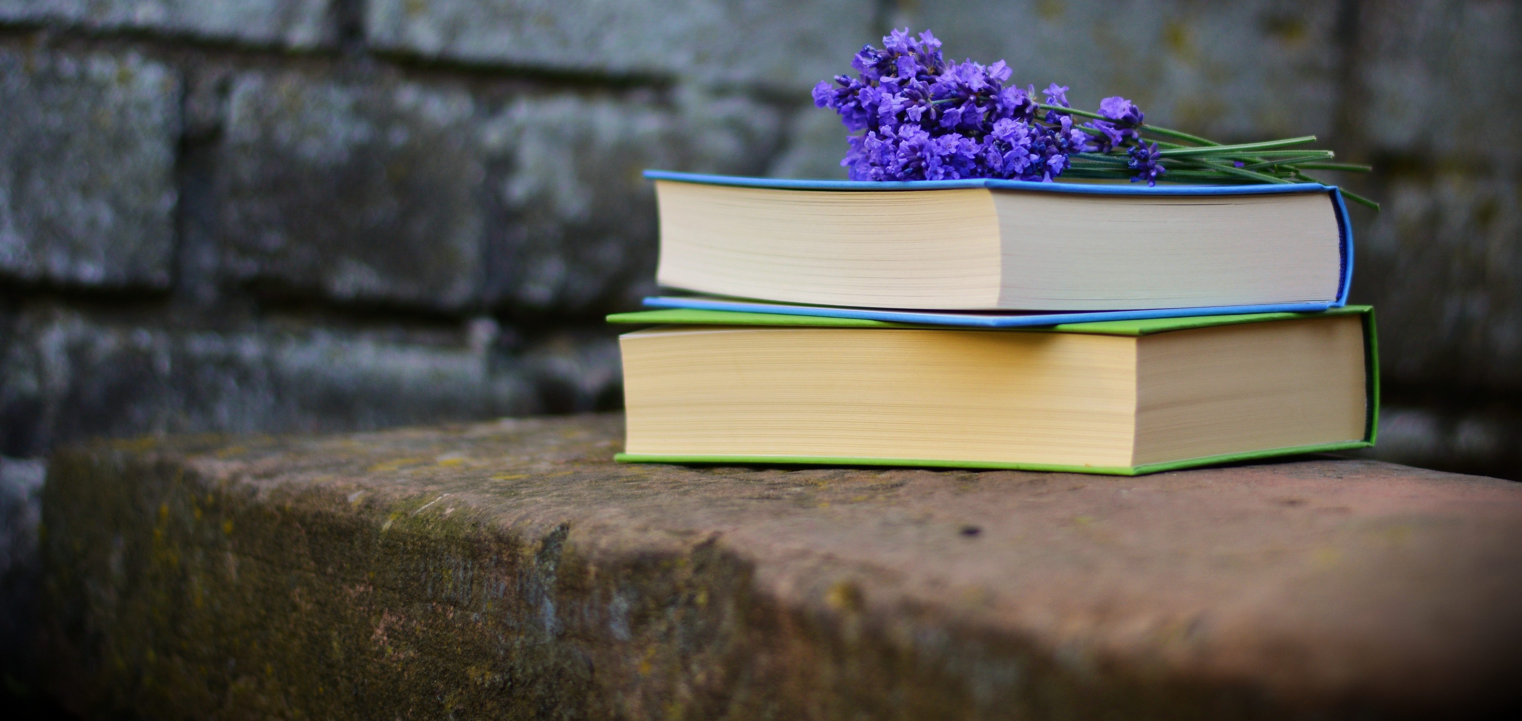bench-blur-books-459791
