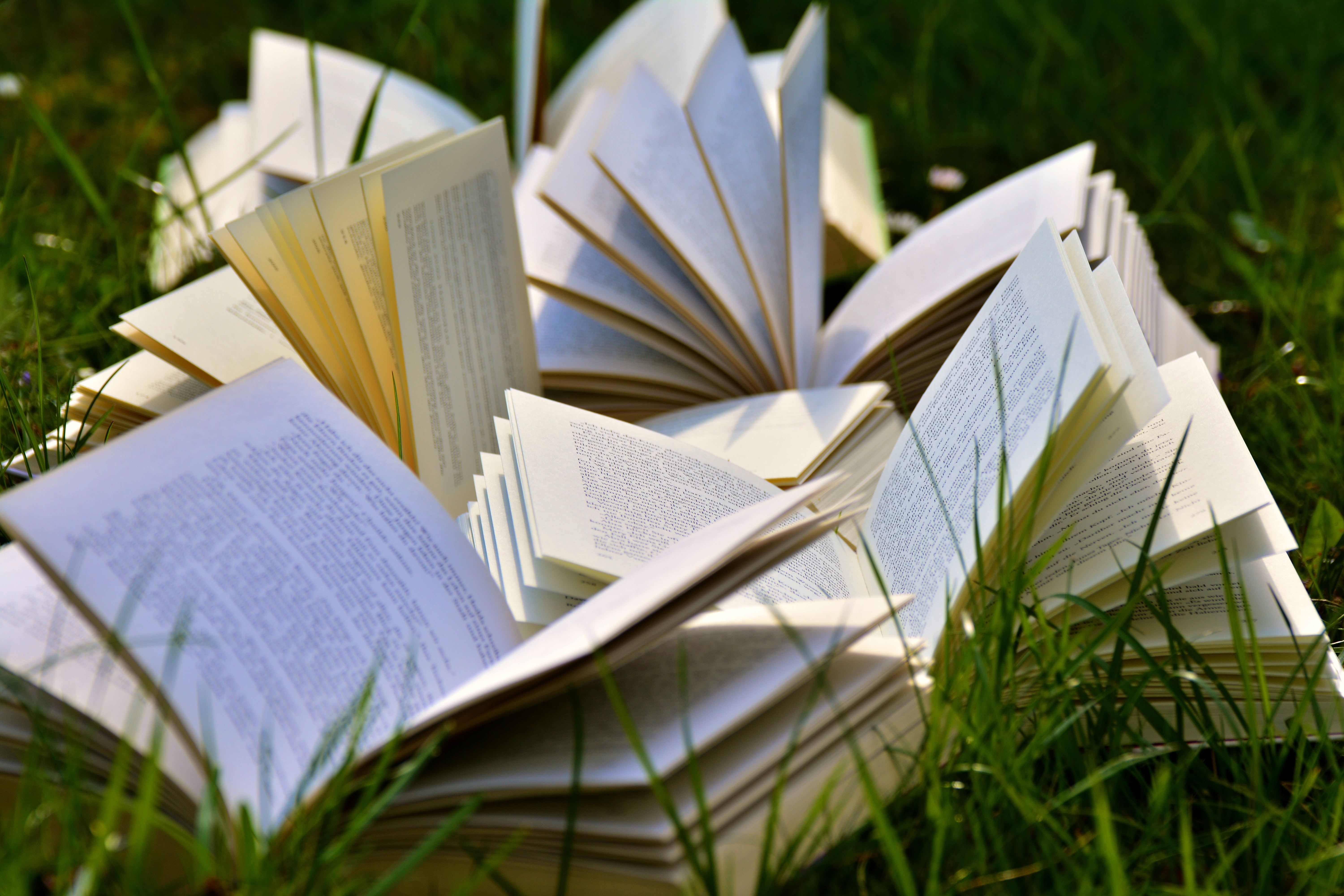 book-pages-books-close-up-415078