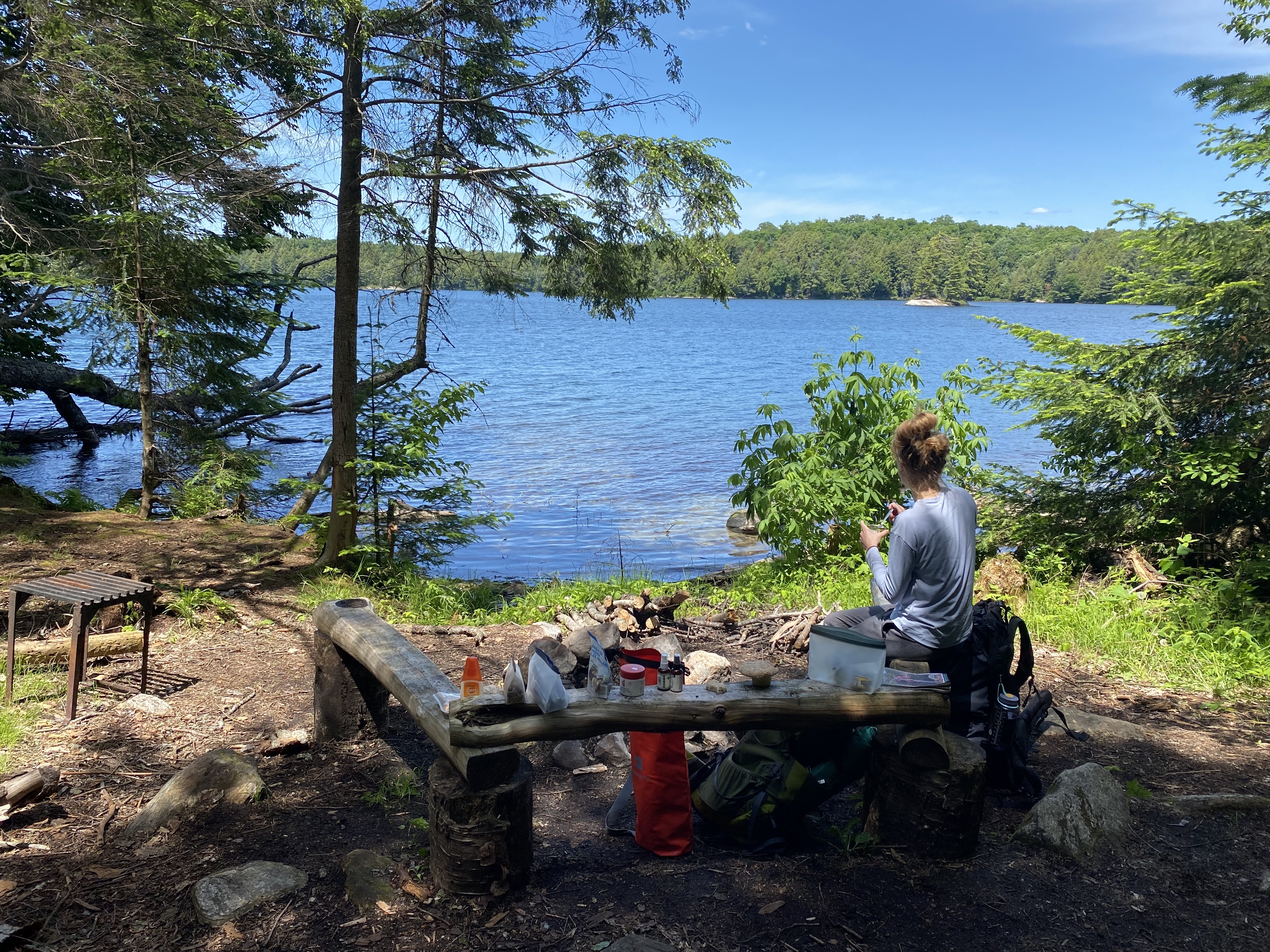 algonquin 3